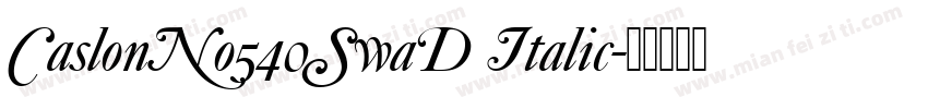 CaslonNo540SwaD Italic字体转换
